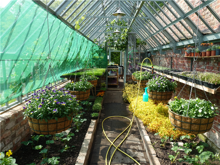 inside of the greenhouses